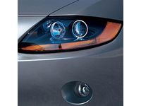 BMW Lights and Lenses - 61319133049
