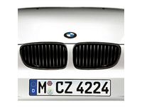 BMW 330i Grille - 51132158543