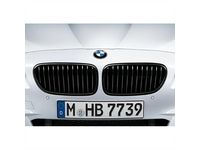 BMW M5 Grille - 51712352807