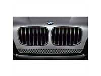 BMW X5 Grille - 51712150247