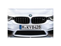 BMW Grille - 51712352813