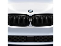 BMW 530i xDrive Grille - 51712430994