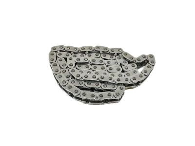 BMW Timing Chain - 11318570649