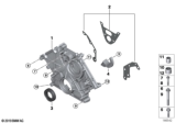 Diagram for BMW Timing Cover - 11148483795