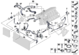 Diagram for BMW 535i xDrive Cooling Hose - 11537583880
