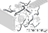 Diagram for BMW M340i Cooling Hose - 17128654855