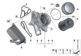 Diagram for BMW 320i Oil Cooler - 11427525333
