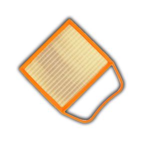 BMW Air Filter 13717556961