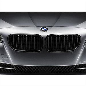 BMW High Gloss Kidney Grille/Left 51712165539
