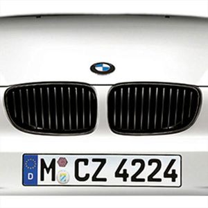BMW Performance Black Kidney Grille/Left 51132158543