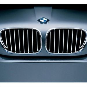 BMW Front Radiator Grille/Left Up to 10/03 51138250051