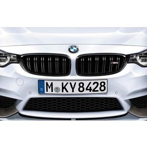 BMW Driver Side Kidney Grille 51712352813