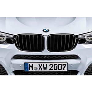 BMW Driver Side Kidney Grille 51712337762