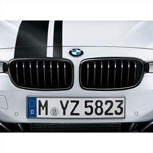 BMW Driver Side Kidney Grille 51712240775