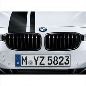 BMW Driver Side Kidney Grille 51712410146