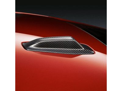 BMW M Performance Antenna Cover in Aramide Fiber 65205A59AD9