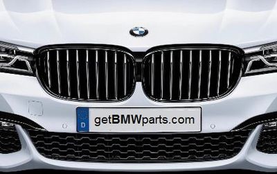 BMW Passenger Side Kidney Grille 51712289686