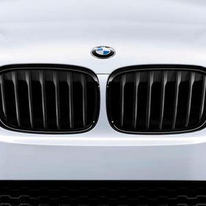 BMW Driver Side Kidney Grille 51712334708