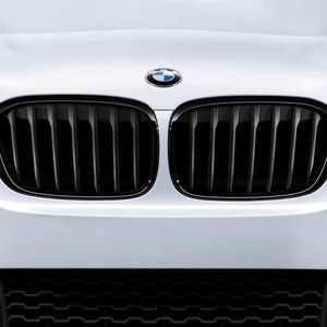 BMW Driver Side Kidney Grill 51712455247