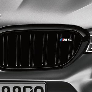 BMW M Performance Kidney & Side Grilles Kit 51132456162