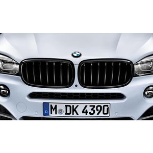 BMW Driver Side Kidney Grille 51712354497