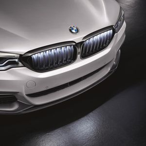 BMW Iconic Glow Kidney Grilles Black High-Gloss 63172466465