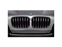 BMW X6 Grille - 51712150247