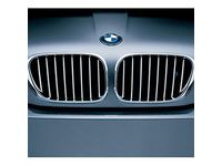 BMW X5 Grille - 51137124815