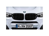 BMW X3 Grille - 51712337762