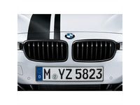 BMW 335i GT xDrive Grille - 51712410146