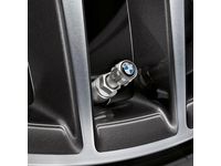 BMW ActiveHybrid 5 Valve Stem Caps - 36122447401