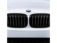 BMW X5 Grille - 51712334708