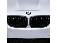 BMW M235i xDrive Grille - 51712336815