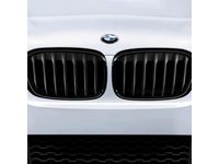 BMW X1 Grille - 51712407732