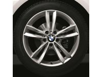 BMW M4 Cold Weather Tires - 36110047956