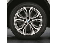 BMW X2 Wheel and Tire Sets - 36112445456