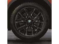 BMW X2 Cold Weather Tires - 36112469019