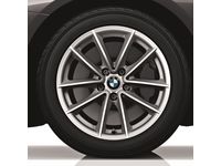 BMW X4 Cold Weather Tires - 36110003052