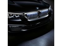 BMW M550i xDrive Grille - 63172466430