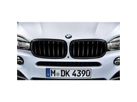 BMW X6 M Grille - 51712354497