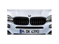 BMW X5 M Grille - 51712354497