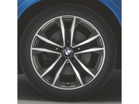 BMW X1 Cold Weather Tires - 36110003046