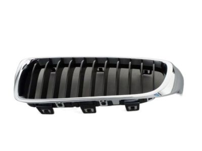 BMW 51137294813 Grille, Front, Left