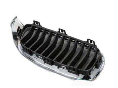 BMW 51137294813 Grille, Front, Left