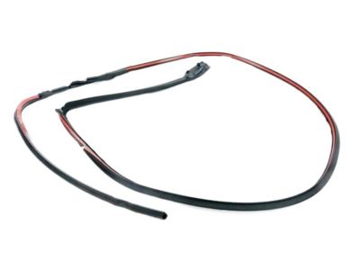 2015 BMW i8 Weather Strip - 51217312984