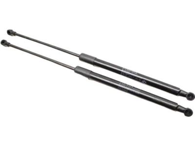 BMW 650i xDrive Gran Coupe Body Door Lift Support - 51247275643