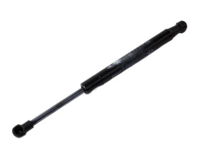 BMW X6 M Lift Support - 51479149120