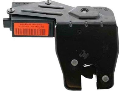 BMW X6 Trunk Latch - 51247114612