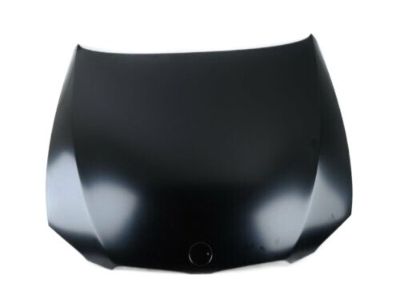 BMW 41007268905 Hood