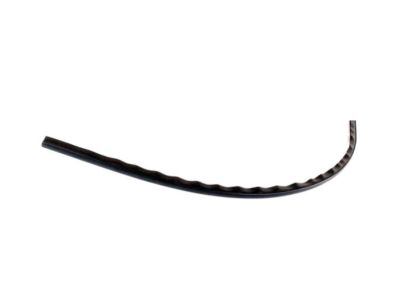 BMW 318ti Door Seal - 51718216080